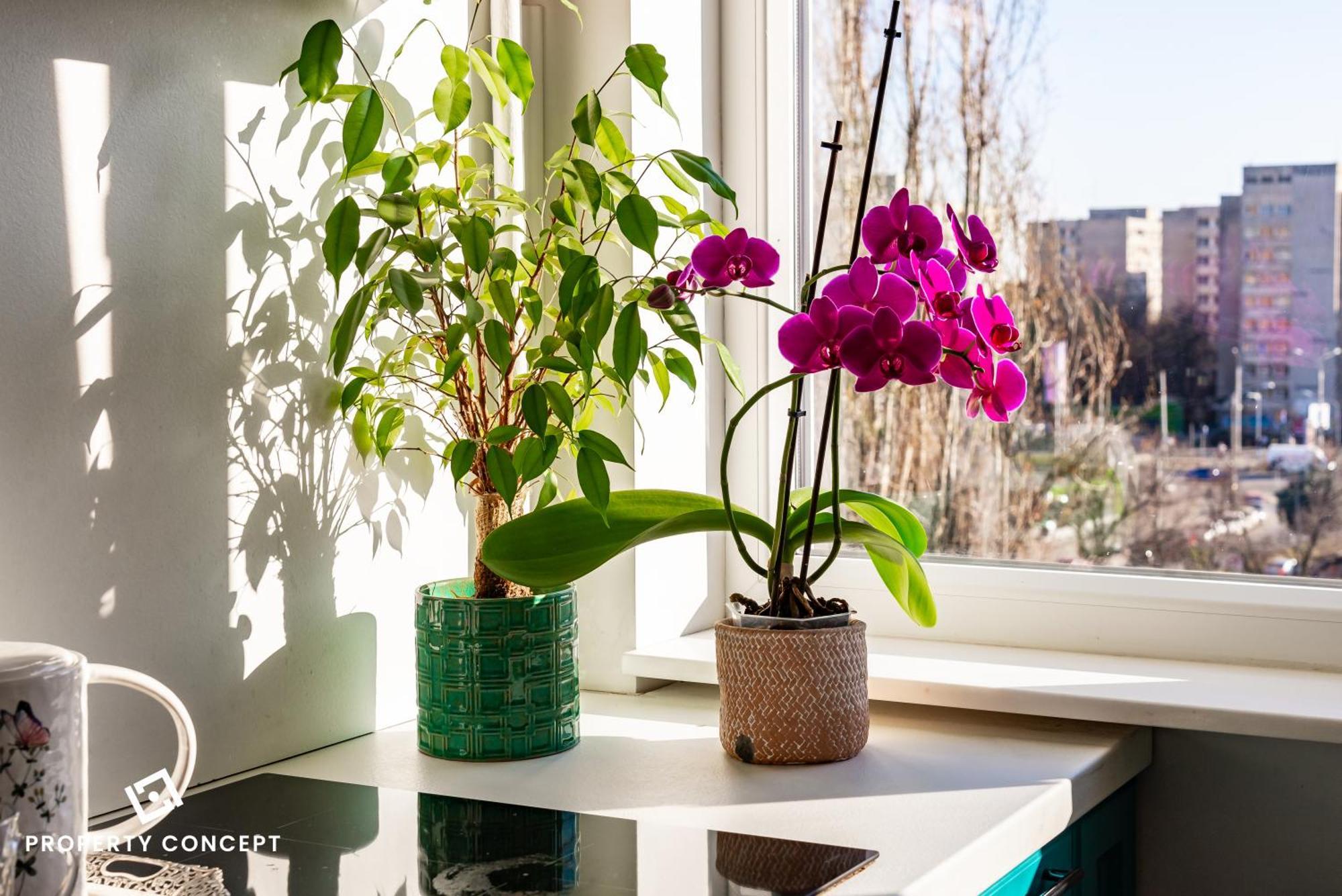 Blissful Retreat Apartment Bukares Bagian luar foto