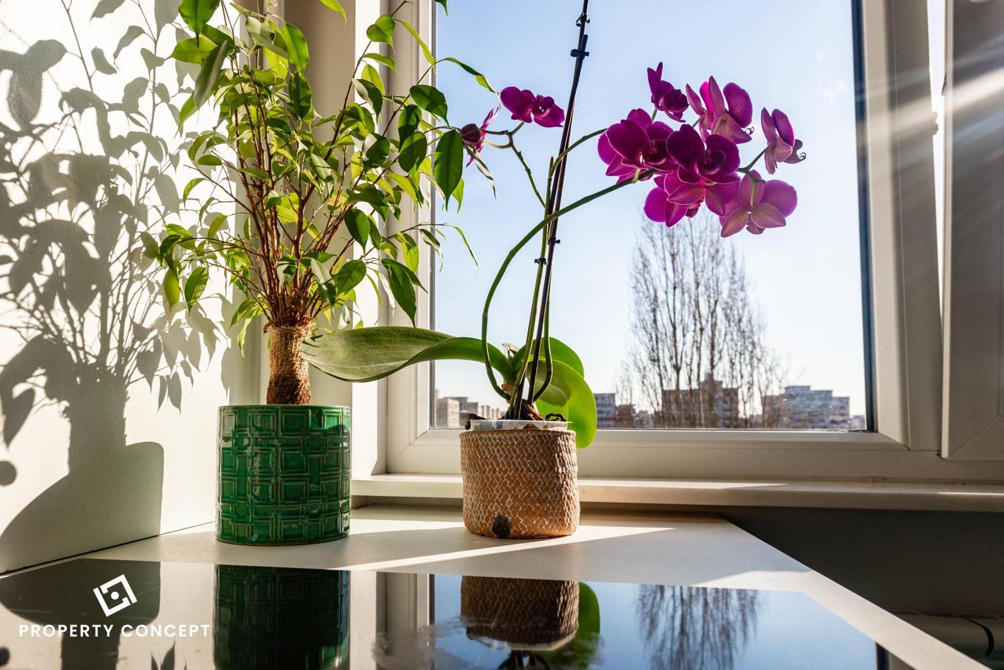 Blissful Retreat Apartment Bukares Bagian luar foto